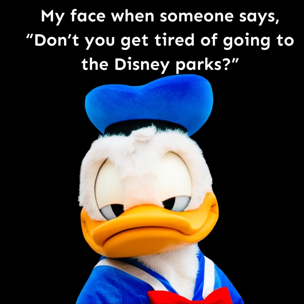 ToxicTaurus Is Live! Share Disney! - Picture 3 of 7